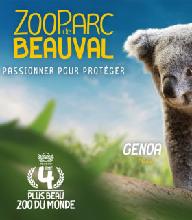 E-BILLET 1 Jour Enfant de 3 à 10 ans ZOOPARC DE BEAUVAL