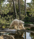 E-Billet 1 Jour Enfant de 3 à 11 ans inclus ZOO DE LA FLECHE