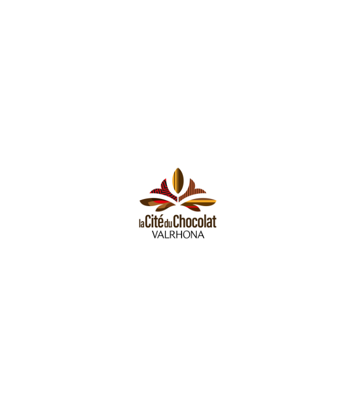 E-billet 1 Jour Enfant de 6 à 12 ans LA CITE DU CHOCOLAT VALRHONA