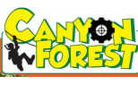 Canyon Forest