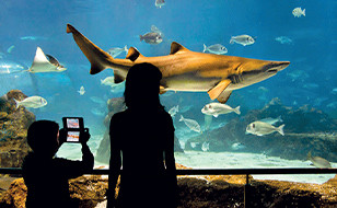 Aquarium de Barcelone