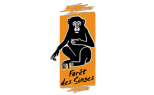 La Forêt des Singes