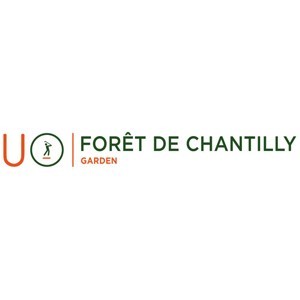 Ugolf Forêt de Chantilly