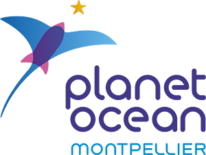 Planet Ocean World